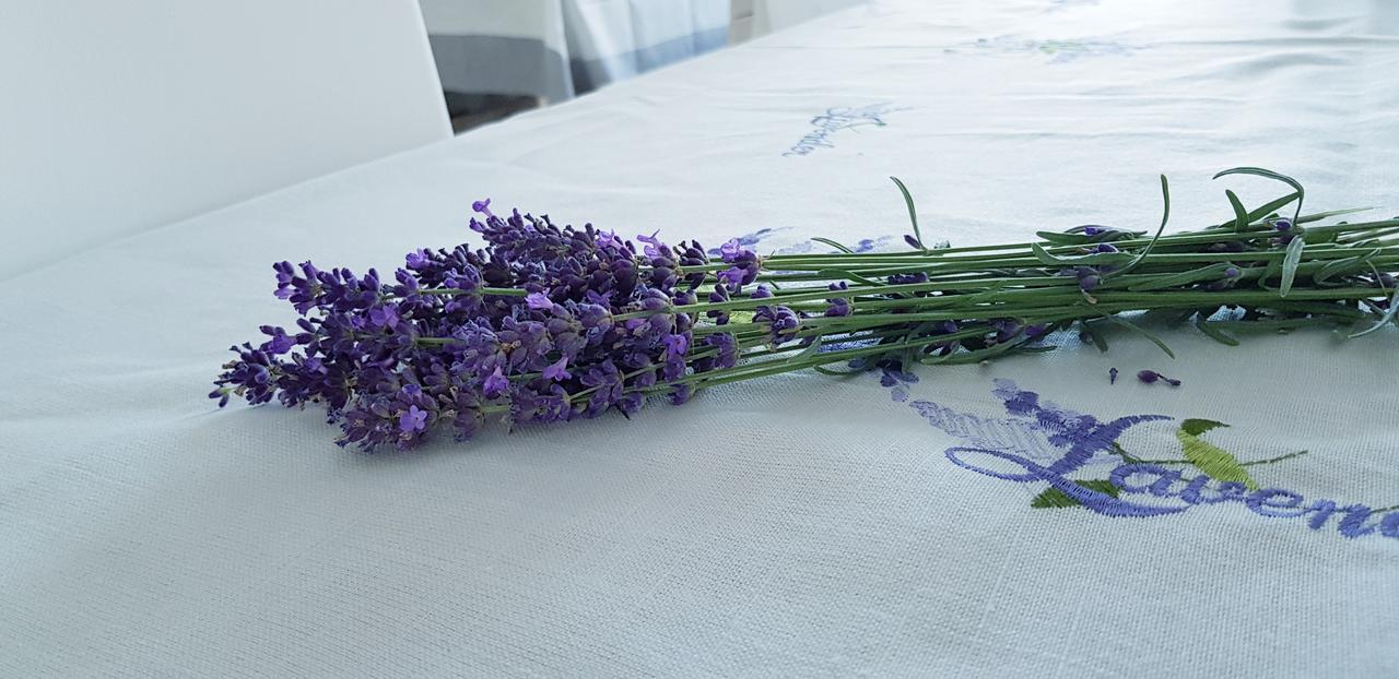 Sweet Life Wellness Apartments エゲルサローク エクステリア 写真