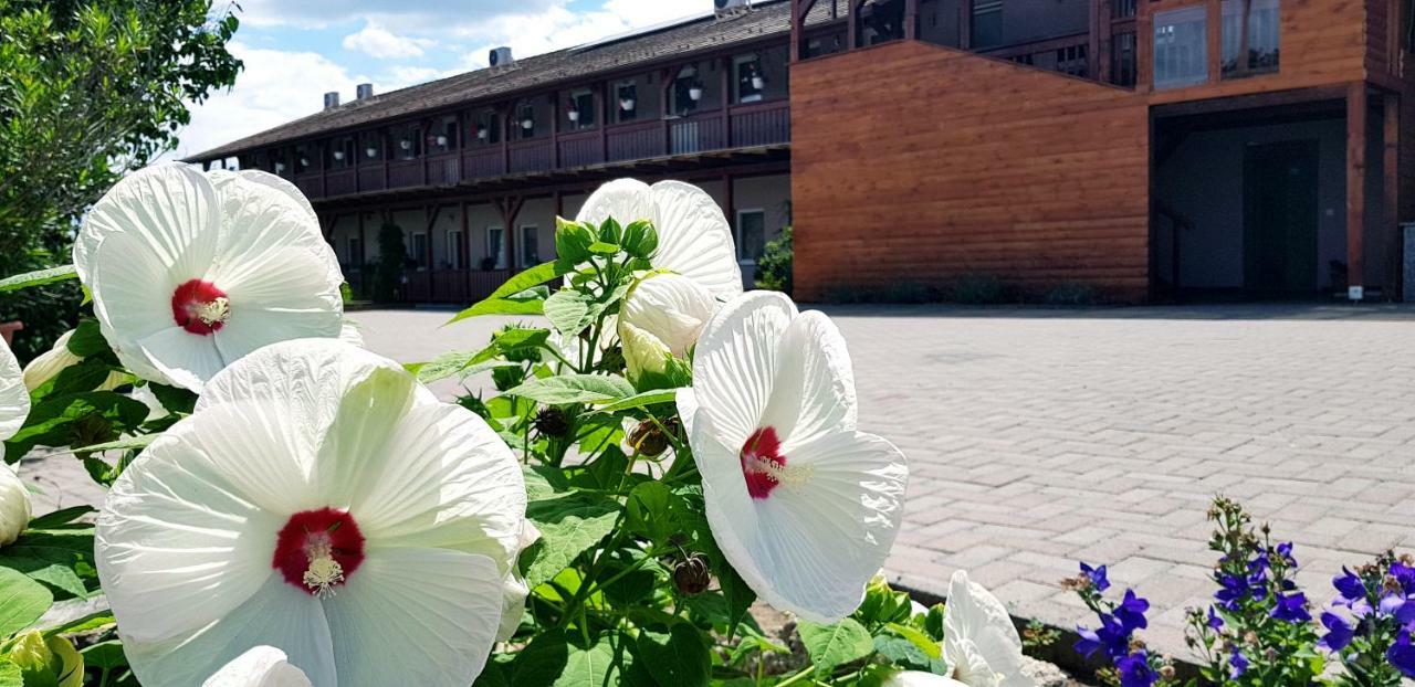 Sweet Life Wellness Apartments エゲルサローク エクステリア 写真